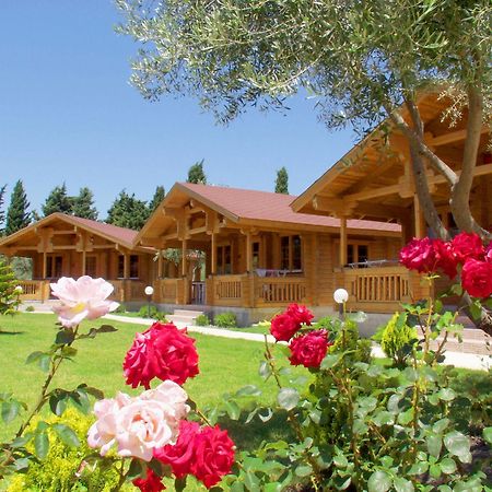 Sandy'S Studios Apartments & Log-Villas Kos Bagian luar foto